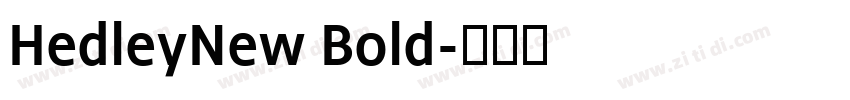 HedleyNew Bold字体转换
